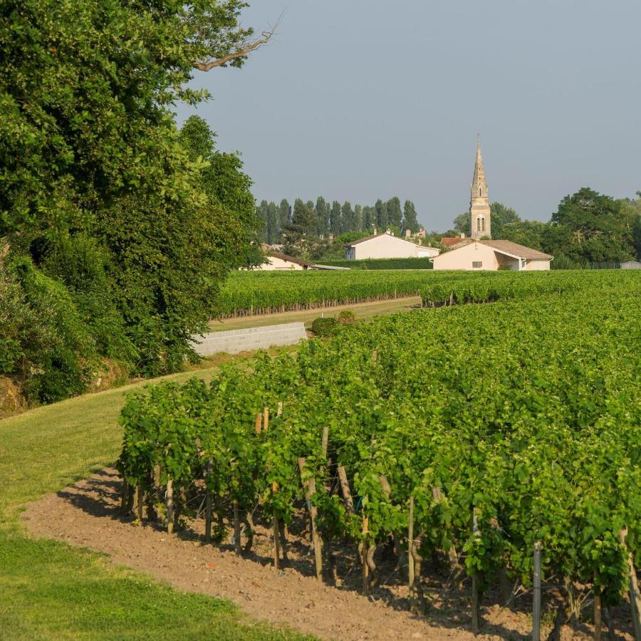 Clos De Bertinat Saint-Sulpice-de-Faleyrens 外观 照片