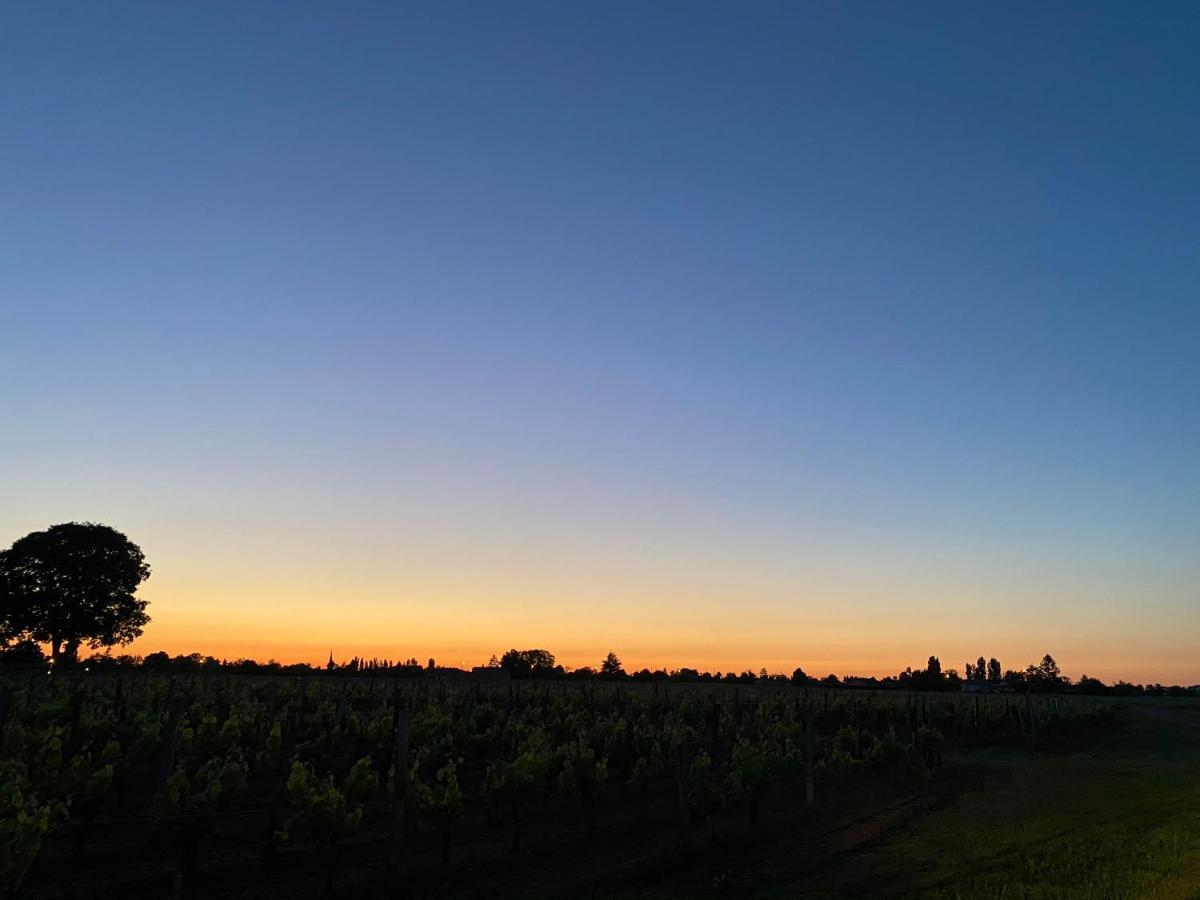 Clos De Bertinat Saint-Sulpice-de-Faleyrens 外观 照片