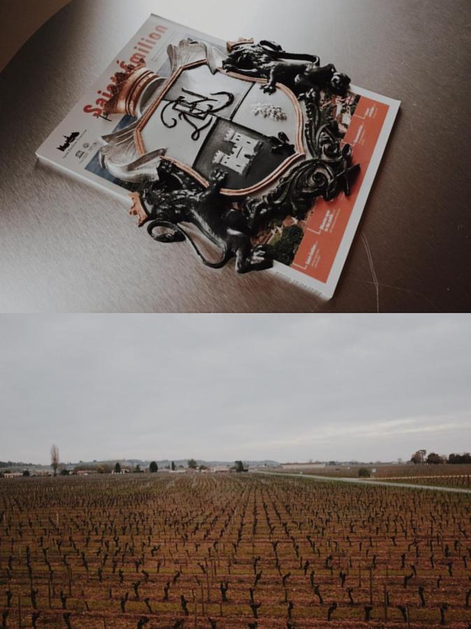 Clos De Bertinat Saint-Sulpice-de-Faleyrens 外观 照片