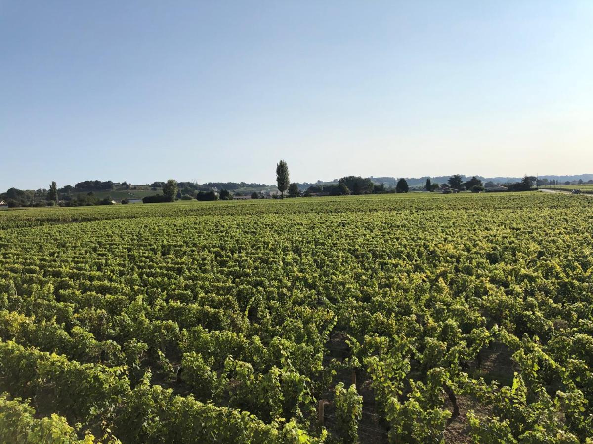Clos De Bertinat Saint-Sulpice-de-Faleyrens 外观 照片